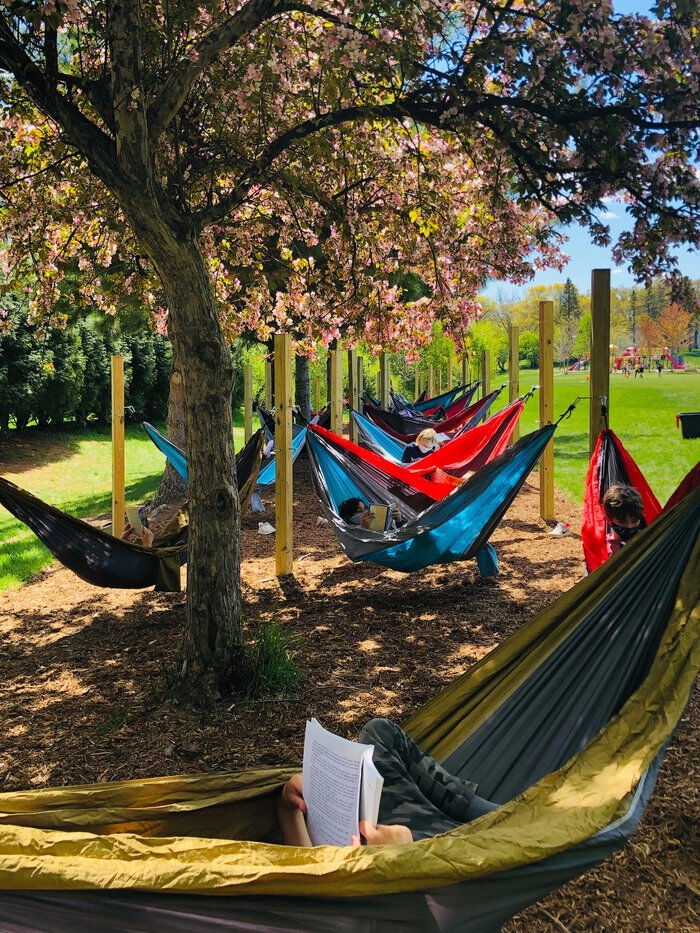 hammock forest